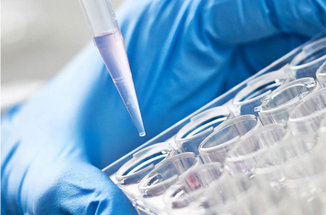 MICROBIOLOGIA mOLECULAR 01